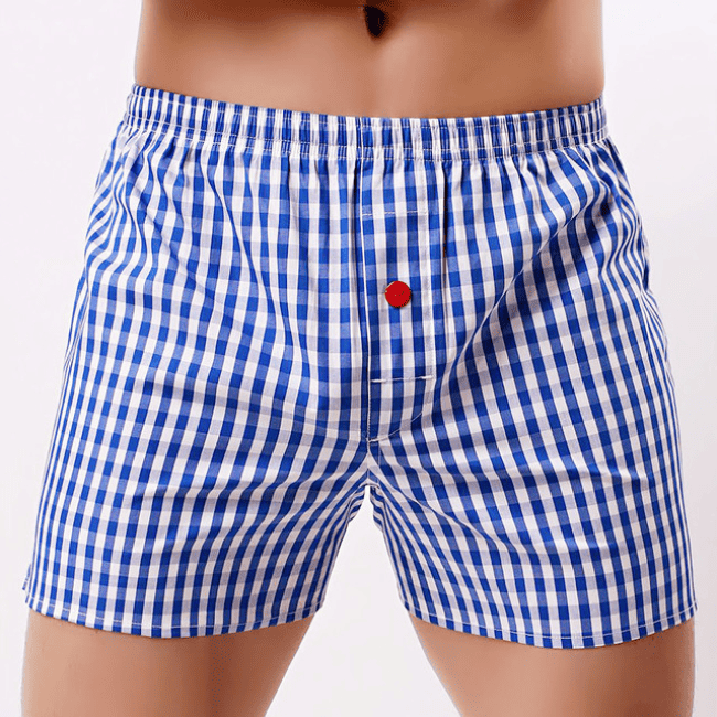 Blue and White Checks Printed Cotton With Red Button