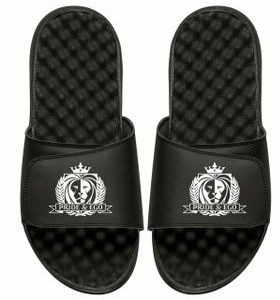 P&E Logo Slides